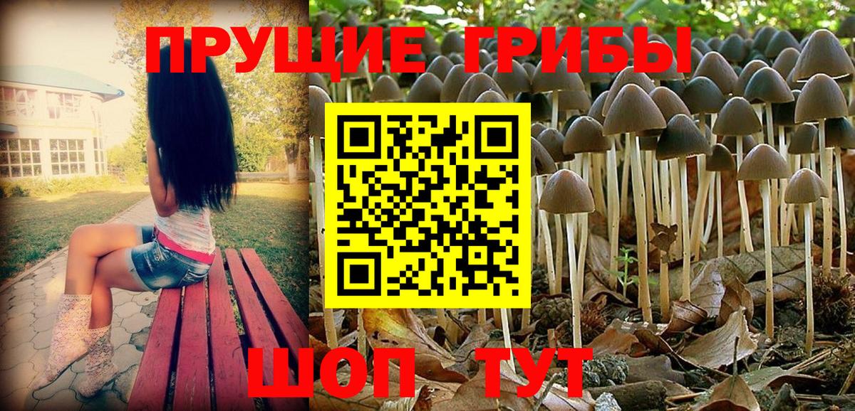 Галлюциногенные грибы Cubensis Лысьва