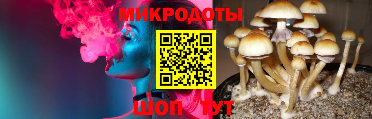 Лысьва  Галлюциногенные грибы Cubensis  Вход с VPN 